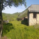 Satılır 2 otaqlı Həyət evi/villa Daşkəsən 8