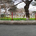 Kirayə (aylıq) 3 otaqlı Köhnə Tikili, Elmlər akademiyası metrosu, Yasamal rayonu 2