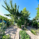 Kirayə (aylıq) 4 otaqlı Bağ evi, Fatmayi, Abşeron rayonu 11
