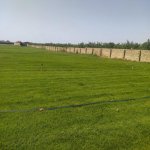 Satılır Torpaq Hacıqabul 5