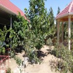 Satılır 7 otaqlı Həyət evi/villa, Mərdəkan, Xəzər rayonu 5