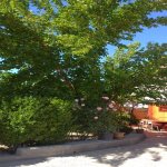 Kirayə (aylıq) 4 otaqlı Bağ evi, Buzovna, Xəzər rayonu 28