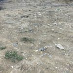 Satılır Torpaq, Digah, Abşeron rayonu 4
