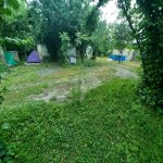 Kirayə (günlük) 3 otaqlı Həyət evi/villa Qəbələ 14