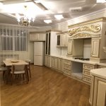 Kirayə (aylıq) 4 otaqlı Yeni Tikili, Gənclik metrosu, Nəsimi rayonu 4