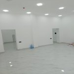 Kirayə (aylıq) Obyekt, Gənclik metrosu, Nərimanov rayonu 5