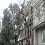 Продажа 1 комнат Вторичка, м. 28 Мая метро, Насими район 1