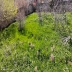 Satılır 2 otaqlı Həyət evi/villa, Masazır, Abşeron rayonu 8