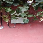 Satılır 3 otaqlı Həyət evi/villa Xırdalan 10