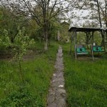 Kirayə (günlük) 4 otaqlı Həyət evi/villa Quba 10