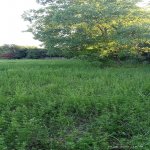 Продажа Участок Гябяля 6