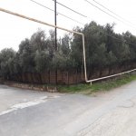 Продажа Участок, Новханы, Абшерон район 4