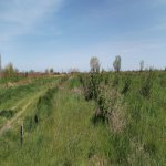 Продажа Участок Хачмаз 15