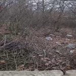 Satılır Torpaq Xızı 3