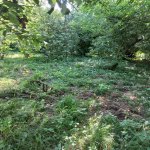 Продажа Участок Исмаиллы 6