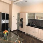 Kirayə (aylıq) 4 otaqlı Yeni Tikili, 28 May metrosu, Nəsimi rayonu 11