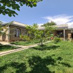 Kirayə (günlük) 4 otaqlı Həyət evi/villa Qəbələ 2