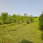 Satılır Torpaq Xaçmaz / Nabran 6