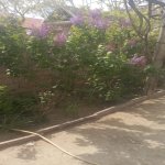 Satılır 4 otaqlı Həyət evi/villa, Binə qəs., Xəzər rayonu 21
