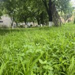 Kirayə (günlük) 2 otaqlı Həyət evi/villa Quba 2