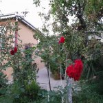 Kirayə (günlük) 3 otaqlı Həyət evi/villa İsmayıllı 9