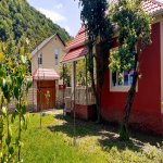 Kirayə (günlük) 4 otaqlı Həyət evi/villa Qəbələ 11