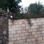 Kirayə (günlük) 4 otaqlı Həyət evi/villa Quba 15