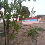 Kirayə (aylıq) 5 otaqlı Həyət evi/villa, Mərdəkan, Xəzər rayonu 25