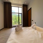 Kirayə (günlük) 4 otaqlı Həyət evi/villa Qəbələ 18