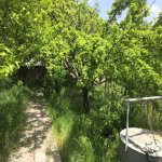 Satılır 3 otaqlı Bağ evi Xızı 10