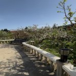 Kirayə (aylıq) 6 otaqlı Həyət evi/villa, Elmlər akademiyası metrosu, Səbail rayonu 23