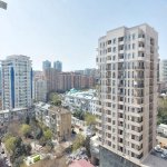 Kirayə (aylıq) 1 otaqlı Yeni Tikili, 28 May metrosu, Nəsimi rayonu 9