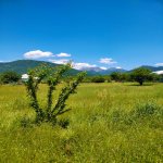 Продажа Участок Гябяля 8