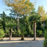 Satılır 7 otaqlı Həyət evi/villa, Mərdəkan, Xəzər rayonu 3