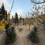 Satılır Torpaq, Şüvəlan, Xəzər rayonu 3