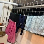 Kirayə (aylıq) 2 otaqlı Yeni Tikili, Qaraçuxur qəs., Suraxanı rayonu 9