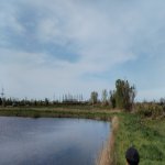 Продажа Участок Хачмаз 104