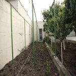 Satılır 3 otaqlı Bağ evi, Maştağa qəs., Sabunçu rayonu 4