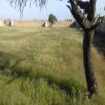 Satılır Torpaq, Masazır, Abşeron rayonu 7