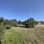 Satılır 5 otaqlı Həyət evi/villa Zaqatala 7