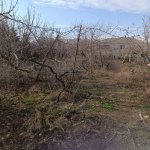Satılır Torpaq, Masazır, Abşeron rayonu 3
