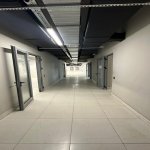 Kirayə (aylıq) 12 otaqlı Ofis, Nərimanov rayonu 8