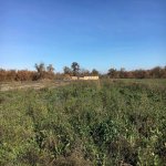 Satılır Torpaq Xaçmaz / Nabran 1