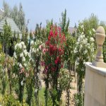 Satılır 6 otaqlı Bağ evi, Novxanı, Abşeron rayonu 5