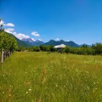 Продажа Участок Гябяля 10