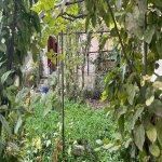 Satılır 4 otaqlı Həyət evi/villa, Həzi Aslanov metrosu, Köhnə Günəşli qəs., Xətai rayonu 9