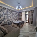 Аренда 2 комнатная Новостройка, 3-ий микрорайон, Насими район 5