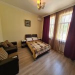 Satılır 8 otaqlı Həyət evi/villa Qəbələ 13
