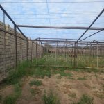 Satılır Torpaq, Maştağa qəs., Sabunçu rayonu 10