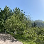 Посуточно 5 комнат Дома/Виллы Исмаиллы 10